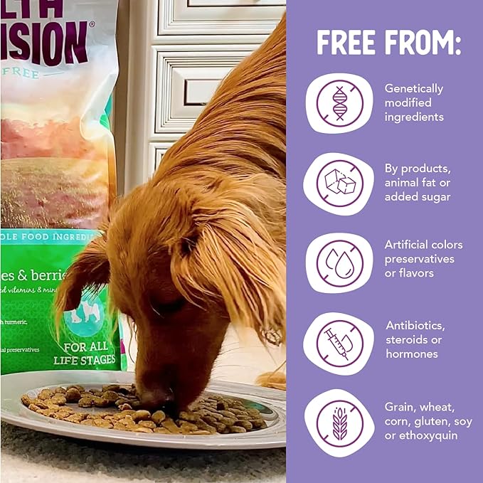 Health Extension Dry Dog Food, Natural Food with added Vitamins & Minerals, Suitable for All Puppies, Duck & Sweet Potato Recipe with Whole Vegetable & Berries (23.5 Pound)