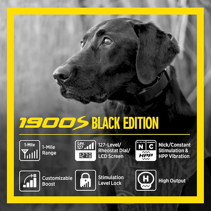 Dogtra 1900s Black Edition with Boost & Lock - Bark Collar for Large Dog, 1-Mile Range Dog Training Collar with Remote, IPX9K-Rated Waterproof Dog Shock Collar, Rechargeable with Static and Vibration