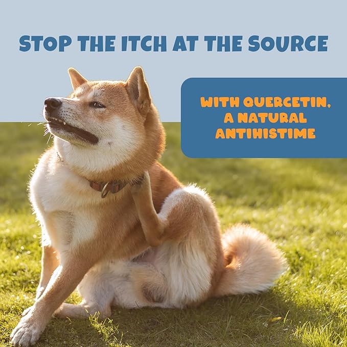 Dog Allergy Relief Chews - Quercetin + Omega 3 - Natural Antihistamine for Itching, Paw Licking, Seasonal and Grass Allergies - for Itchy Skin, Hot Spots, Immune Support