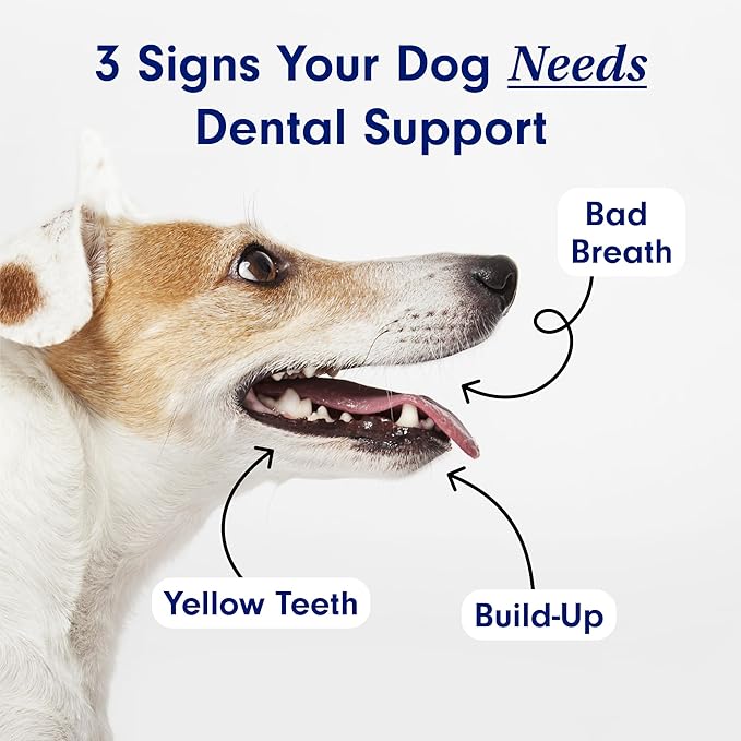 Petlab Co. Proenzyme Dental Sticks – Dog Dental Chews -Target Plaque & Tartar Build-Up at The Source - 28 Sticks
