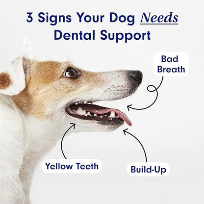 Petlab Co. Proenzyme Dental Sticks – Dog Dental Chews -Target Plaque & Tartar Build-Up at The Source - 28 Sticks