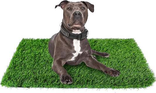 Artificial Grass for Dogs to Pee on, 39.4" x 31.5" Puppy Turf Potty Training Tray, Thick & High Drainage Pets Fake Grass