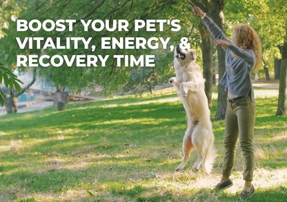Superfood Rich in Antioxidants, Multivitamins, Minerals, Prebiotics, Skin & Immune Health - Excellent for Seniors, Active Dogs & Puppies