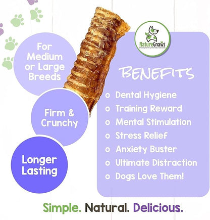 Nature Gnaws Beef Trachea for Dogs - Premium Natural Beef Bones - Simple Single Ingredient Crunchy Dog Chew Treats - Rawhide Free 6 Count