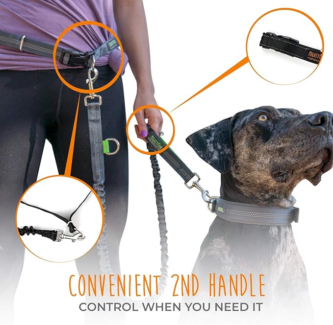 Mighty Paw Hands Free Dog Leash | Bungee Waist Leash for Dog Walking. Dog Running Leash Hands Free. Hands Free Leash for Large Dogs, Medium & Small Dogs. Dog Leash Waist Belt (36" - 48") Up To 150 lbs