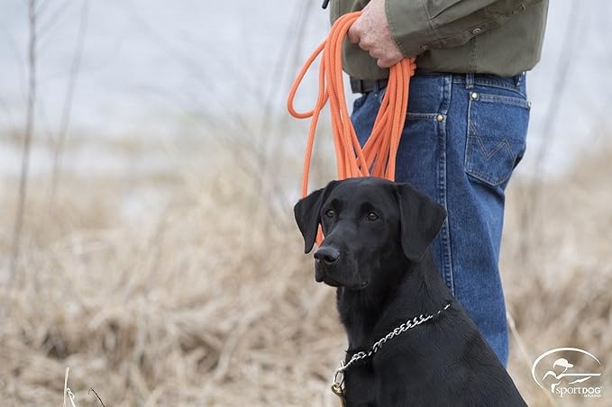 SportDOG Brand Orange Check Cord - 30 Feet Long - Strong but Lightweight Training Tool - Highly Visible and Floats