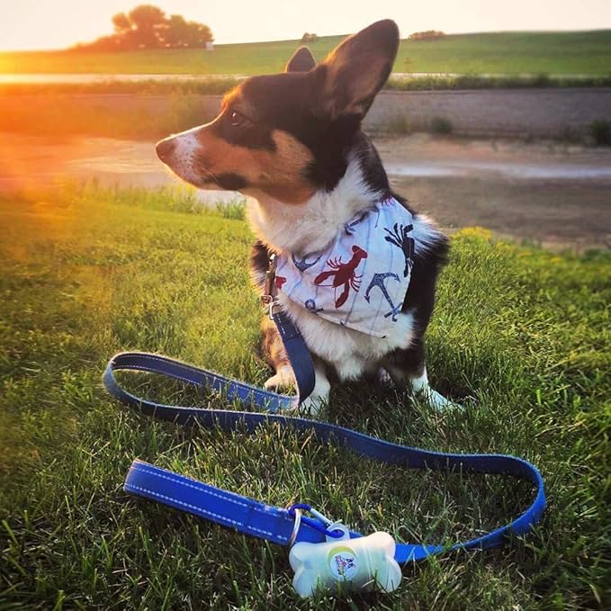 Pogi's Dog Poop Bag Dispenser with Metal Carabiner Clip - Includes 15 Pogi's Poop Bags for Dogs