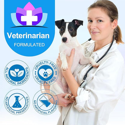 Dog Itch and Immune Chews, Itch Relief Allergy Relief for Dogs, Anti Itch for Dogs, Skin Allergy Treatment for All Dog Breeds, 60 Chews Duck Flavor Dog Skin& Coat Health Supplement