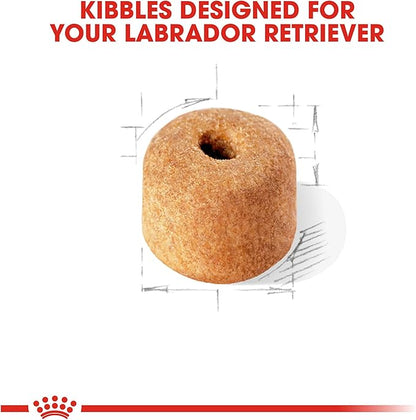 Royal Canin Labrador Retriever Adult Dry Dog Food, 30 lb bag