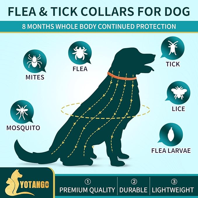 4 Pack Flea Collar for Dogs, Dog Flea and Tick Collar 8 Months Flea and Tick Treatment Prevention for Dogs, Waterproof Adjustable Dog Flea Collar Natural Tick and Flea Collar for Dogs (Oragne&Green)
