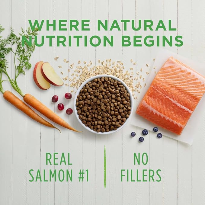 Real Salmon & Brown Rice Recipe Natural Dry Dog Food, 24 lb. Bag