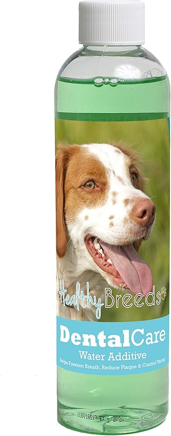 Healthy Breeds Dog Dental Care Water Additive for Brittany - Helps Freshen Breath, Reduce Plaque & Control Tartar - Mint Flavor - 8 oz