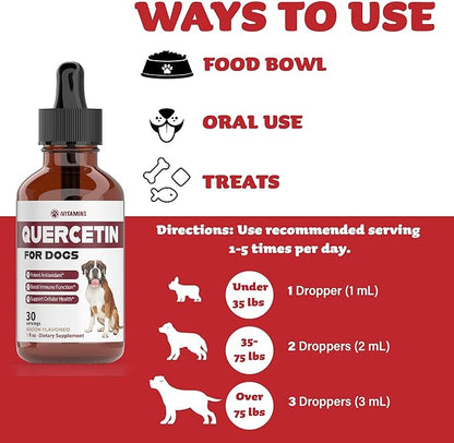 Quercetin for Dogs | Dog Allergy Relief | Quercetin for Dogs Allergies | Dog Allergy | Quercetin | Dog Allergy Support | Quercetin Dog | Dog Allergies | Quercetin Supplements | Bacon Flavor (1 Pack)