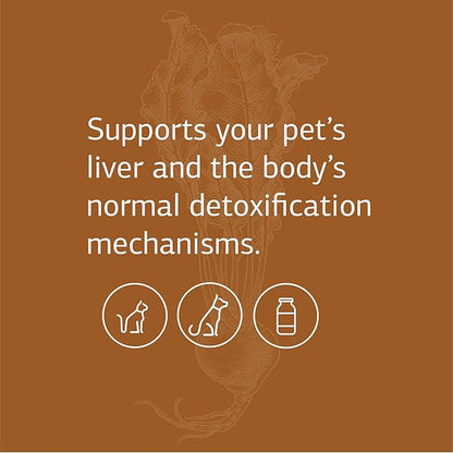 Standard Process - VF Antronex for Pets - Liver Support and Detox for Dogs and Cats - 90 Tablets