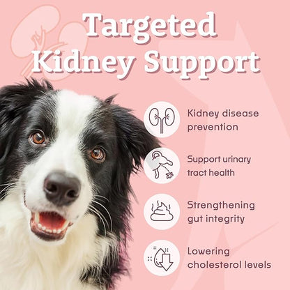 NOCK Probiotics for Dogs,Improve Kidney Function, Support Urinary Tract Health Supplement for Your Dogs Stomach, Intestine Health(220 Billion CFUs Per)
