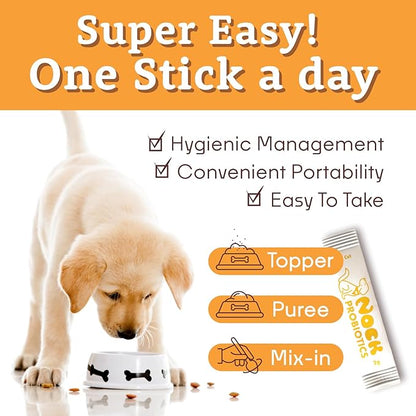 NOCK Probiotics for Dogs, Digestive Support, Immunity Health, and Healthy Digestion with Digestive Enzymes