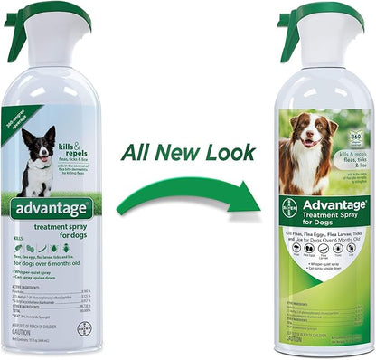 Advantage Dog Flea Treatment Spray | Kills Fleas & Ticks | Dog Flea Spray | 15 oz.