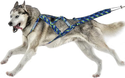 PET ARTIST Dog Weight Pulling Harness,Speed Training,Work Out Dog Sled Harness for Medium,Large Dogs,BLUE,L