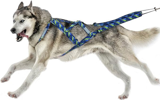 PET ARTIST Dog Weight Pulling Harness,Speed Training,Work Out Dog Sled Harness for Medium,Large Dogs,BLUE,L