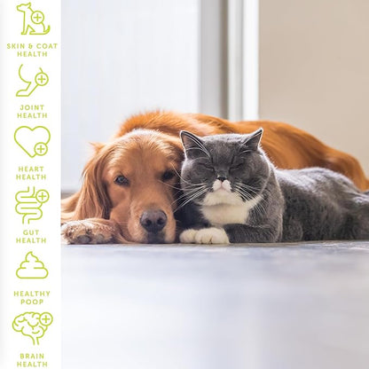 Heart Health for Dogs, Fiber Supplement for Digestive Health, Heart Health & Gut Health, Coat & Joint Health, Made in USA, Only Two Natural Ingredients, 5 Pack