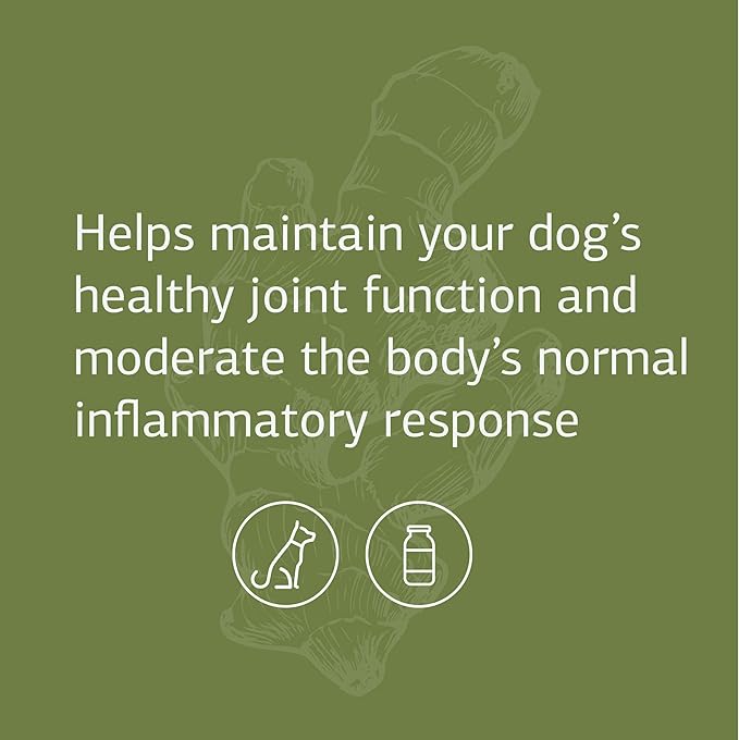 Standard Process - Canine Flex Support - Joint Supplement for Dogs - 100 Chewable Wafers