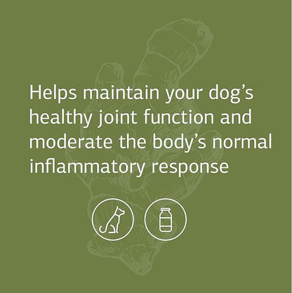 Standard Process - Canine Flex Support - Joint Supplement for Dogs - 100 Chewable Wafers