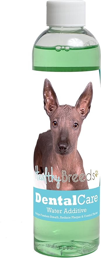 Healthy Breeds Dog Dental Care Water Additive for Xoloitzcuintli - Helps Freshen Breath, Reduce Plaque & Control Tartar - Mint Flavor - 8 oz