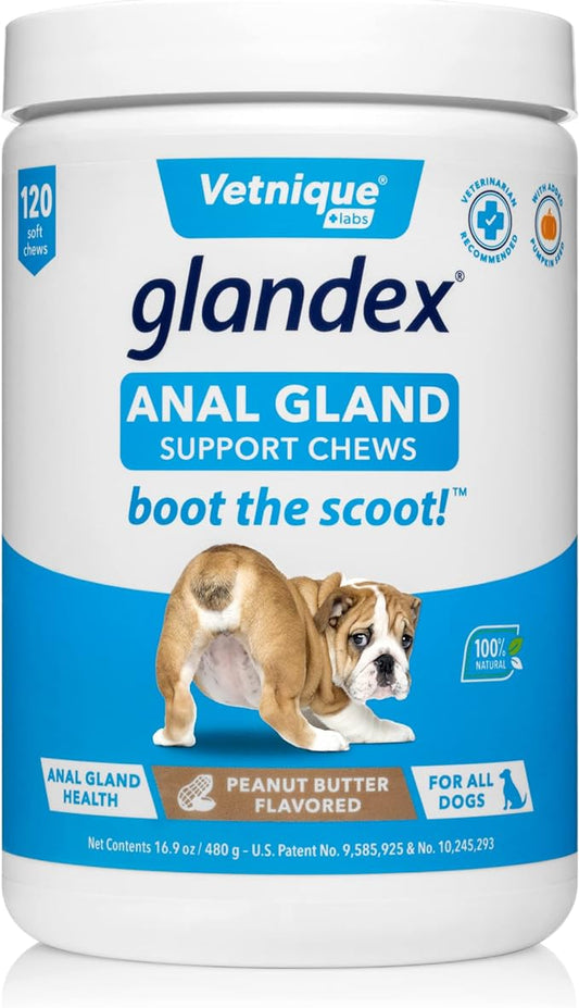 Glandex Anal Gland Soft Chew Treats with Pumpkin for Dogs Digestive Enzymes, Probiotics Fiber Supplement for Dogs Boot The Scoot (Peanut Butter Chews, 120ct)