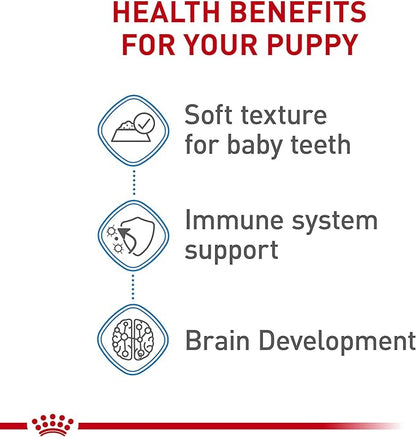 Royal Canin Size Health Nutrition X-Small Puppy Thin Slices in Gravy Wet Dog Food, 3 oz can (24-count)