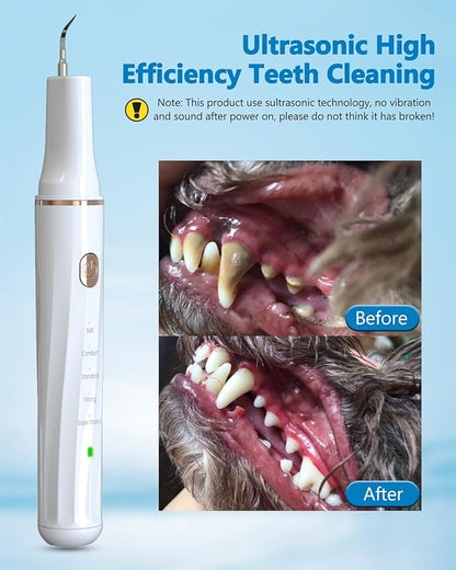 Hansaplast Plaque Remover for Teeth, Dog Teeth Cleaning, Dental Tools to Remove Tartar and Stains, Safe for Dogs & Cats, with Led Light & 5 Adjustable Modes (A-White)