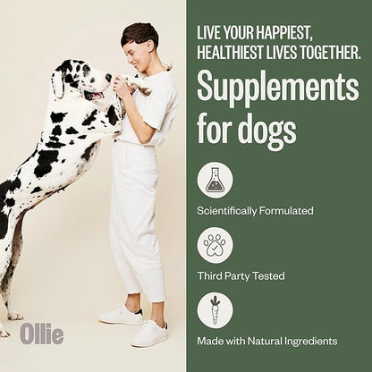 Ollie Belly Rubs Dog Probiotic Chews - Probiotics for Dogs - Dog Upset Stomach Relief - Probiotics for Dogs Digestive Health - Natural Dog Probiotics - Digestive Probiotics for Dogs - 60 count Appx.