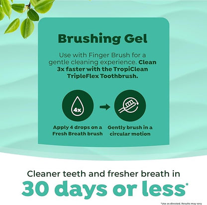 TropiClean Fresh Breath Toothbrush Kit for Small & Medium Dogs | Dog Toothbrush Kit to Fix Stinky Dog Breath | Easy to Use Plaque & Tartar Remover Kit
