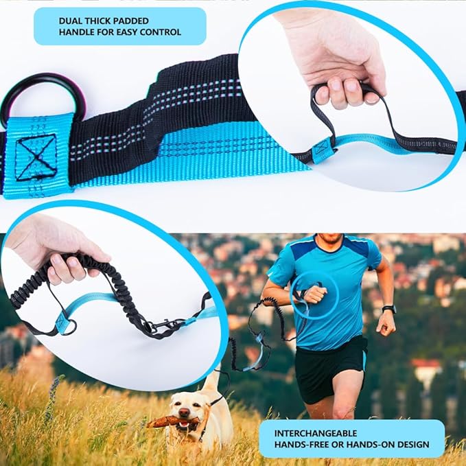 Hands Free Dog Leash for 2 Dogs with Dual Bungees, Reflective Stitches & Retractable Waist Leash for Dog Walking, Adjustable Dog Running Waist Belt with Pouch for Running, Walking, Hiking & Jogging