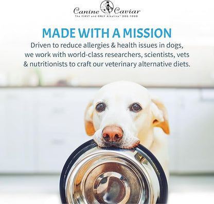 Canine Caviar Wet Dog Food - Salmon Flavored Canned Dog Food 12 Pack (12 oz), Grain and Synthetic Free Gourmet Topper, Wet Dog Food for Small Dogs, Medium Dogs, and Large Dogs
