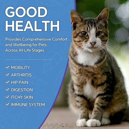 Hemp Oil for Dogs and Cats, rich in Omega 3, 6, 9 and Organic Extract Helps Pets with Anxiety, Pain, Skin and Coat Health, Stress, Hip and Joint Support, Pet's Calming Treat (1 Pack)