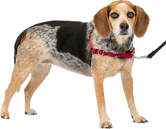 PetSafe Easy Walk Dog Harness - No Pull Dog Harness - Small/Medium, Red