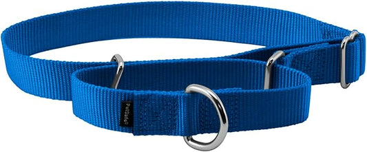 PetSafe Martingale Collar, 1" Large, Royal Blue