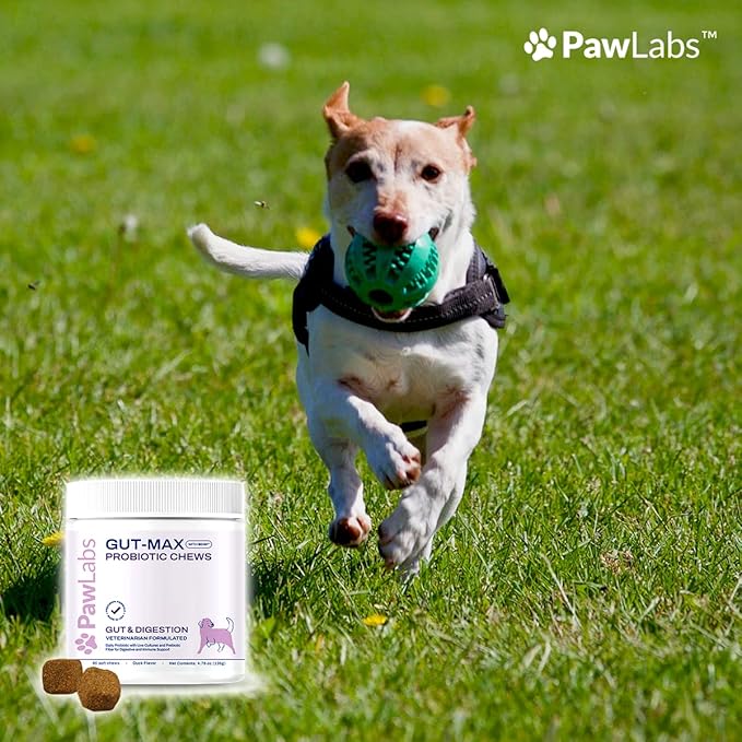 Gut-Max Probiotic Chews - with Patented BC30™ Bacillus Coagulans - Vet Formulated for Digestive and Immune Support w/Natural Prebiotic Microbes - Duck Flavor - 90 Soft Chews