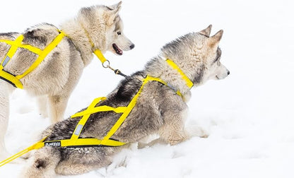 Neewa Sled Pro Harness (XX-Large, Yellow), Dog Pulling Harness, Husky Harness, Mushing Harness, X Back Harness Dog for Dog Exercise, Bikejoring, Skijoring, Dog Sledding, Canicross, Dog Harness