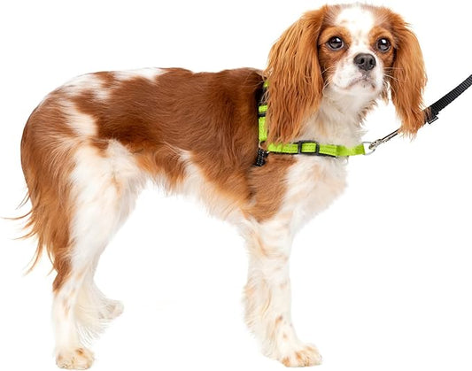 PetSafe® Deluxe Easy Walk® Dog Harness, No Pull Harness, Stop Pulling, Great For Walking and Training, Comfortable Padding, For Small Dogs- Apple, Small