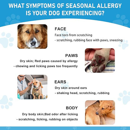 Dog Allergy Relief Chews, Omega 3 Salmon Fish Oil Probiotic Supplement Dogs Itch Relief for Anti-Itch, Hot Spots, and Seasonal Allergies (Salmon)