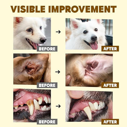 HICC PET Essential Wipes Kit for Dogs & Cats - Hypoallergenic Pet Cleaning Wipes for Teeth, Ears, Eyes, Body - Dog Supplies Cleaning Deodorizing Wipes - Coconut Oil Grooming Wipes for Dogs and Cats