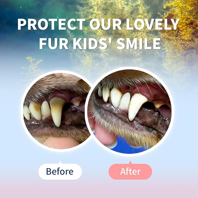 Dog Teeth Cleaning Powder - Simple Feeding,Tartar Plaque Removal Aid/Eliminate Oral Odor/Pet Dental Care, with Super Fucoidan, Norwegian Kelp, 1.4 Oz