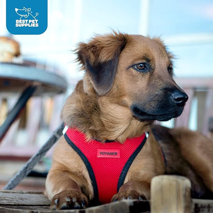 Voyager Step-in Air Dog Harness - All Weather Mesh Step in Vest Harness for Small and Medium Dogs by Best Pet Supplies - Red Trim, M (Pack of 2)