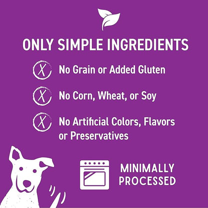 Cloud Star Wag More Bark Less 10 oz Grain Free Jerky Dog Treats with Duck & Apple
