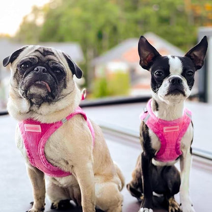 Voyager Step-in Plush Dog Harness – Soft Plush, Step in Vest Harness and Reflective Dog 5 ft Leash Combo with Neoprene Handle for Small and Medium Dogs by Best Pet Supplies -Set (Fuchsia Corduroy), M