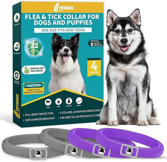 4 Pack Flea Collar for Dogs, Dog Flea and Tick Collar 8 Months Flea and Tick Treatment Prevention for Dogs, Waterproof Adjustable Dog Flea Collar Natural Tick and Flea Collar for Dogs (Purple&Grey)