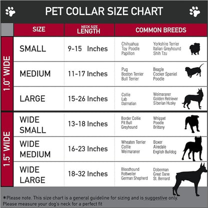 Buckle-Down Seatbelt Buckle Dog Collar - SCOOBY DOO Group Pose/Bones - 1.5" Wide - Fits 13-18" Neck - Small