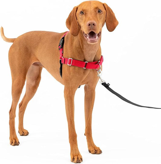 PetSafe Easy Walk No-Pull Dog Harness - The Ultimate Harness to Help Stop Pulling - Take Control & Teach Better Leash Manners - Helps Prevent Pets Pulling on Walks - Medium, Red/Black