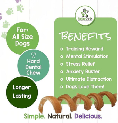 Nature Gnaws Bully Stick Springs for Dogs - Premium Natural Beef Dental Bones - Long Lasting Curly Dog Chew Treats for Aggressive Chewers - Rawhide Free 12 Count (Pack of 1)